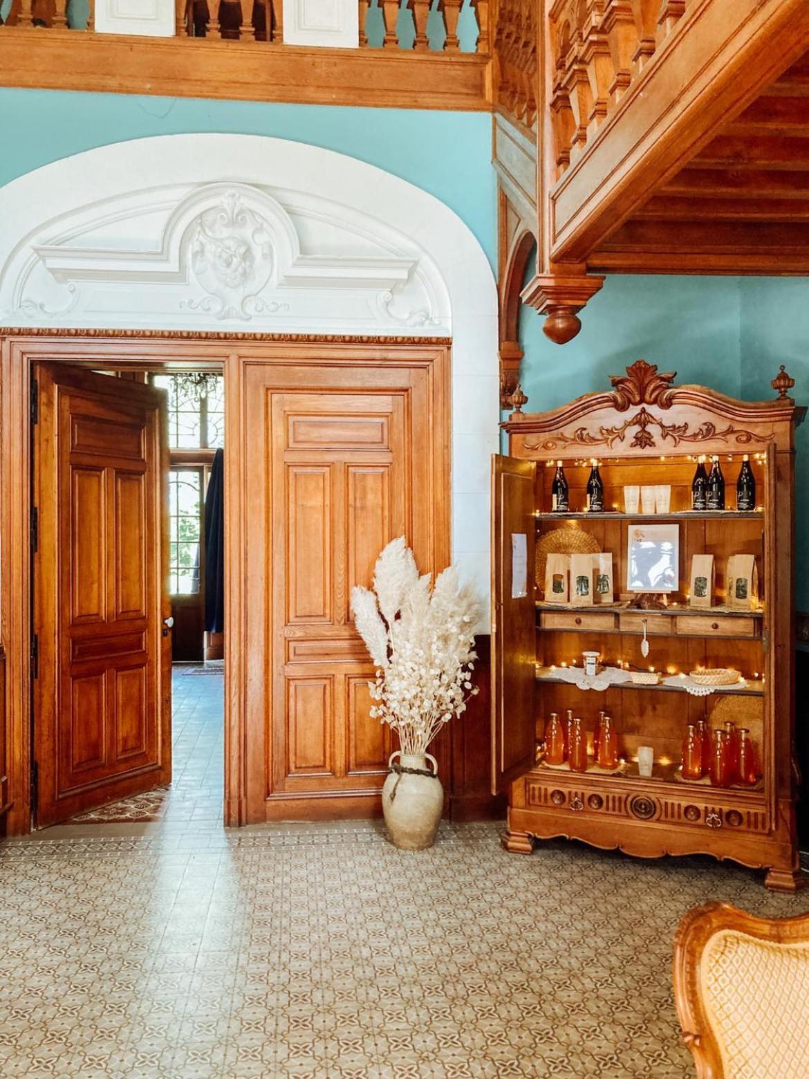 Chateau Du Guerinet Saint-Priest-Bramefant Buitenkant foto